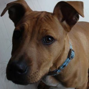 Meet your Posher, Judith